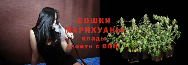 мдпв Осташков