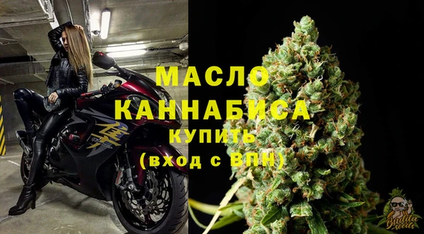 мдпв Осташков