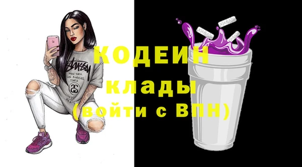 мдпв Осташков