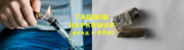 мдпв Осташков