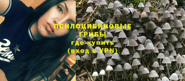 мдпв Осташков
