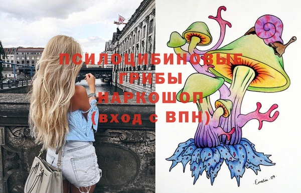мдпв Осташков