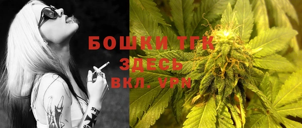 мдпв Осташков