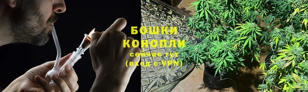 мдпв Осташков